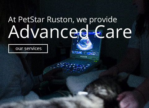 Advanced Care