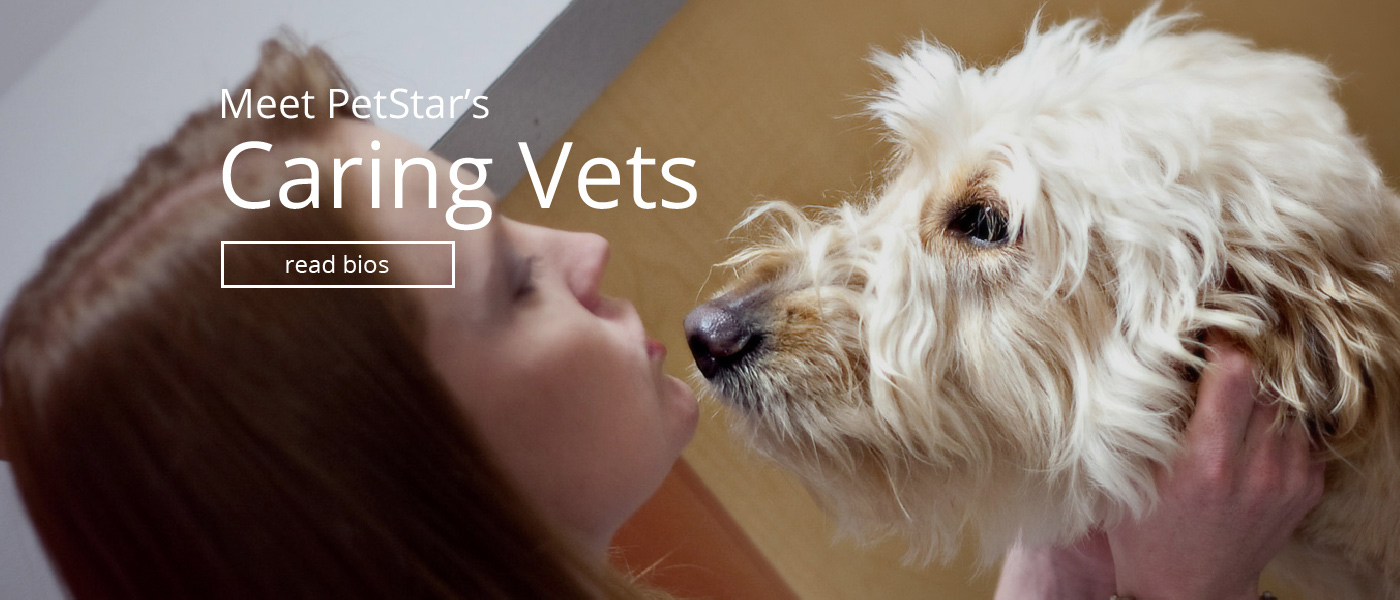 Meet Our Caring Vets
