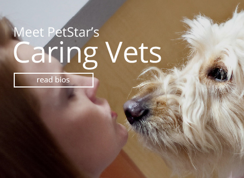 Meet Our Caring Vets