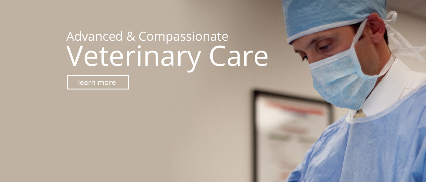 Advanced Veterinary Care