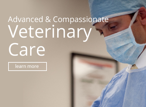 Advanced Veterinary Care