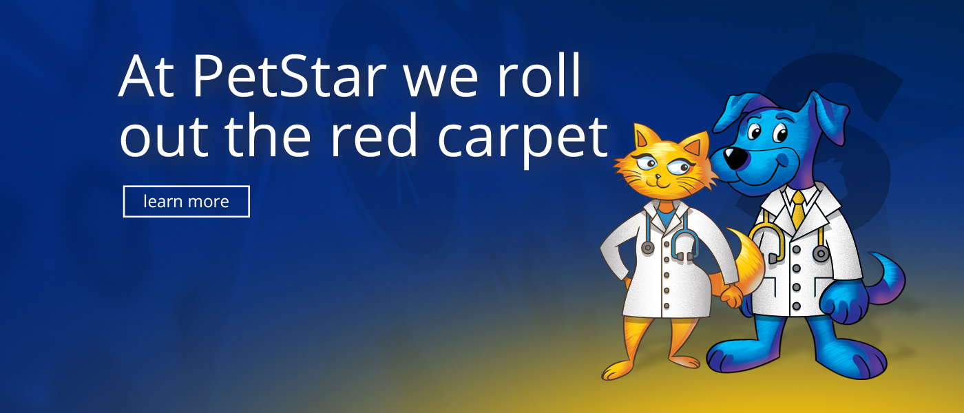 We roll out the red carpet