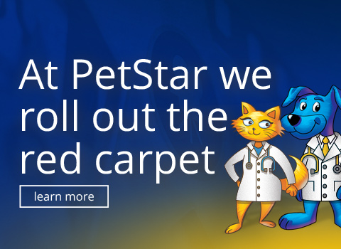 We roll out the red carpet
