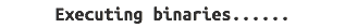 Executing binaries......