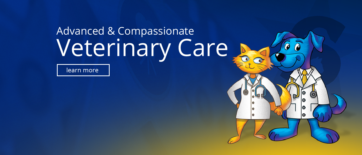 Advanced Veterinary Care