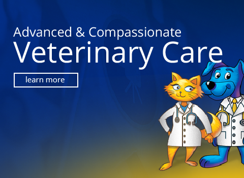 Advanced Veterinary Care