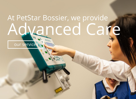 Advanced Care