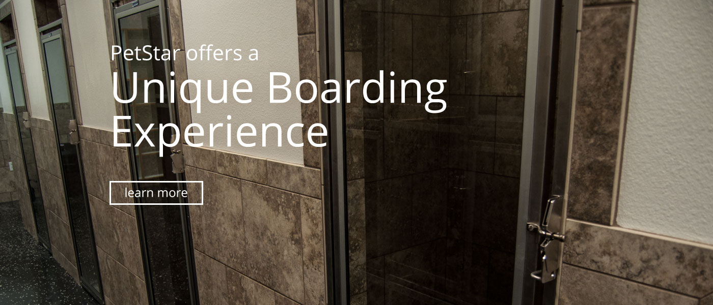 Unique Boarding Experience