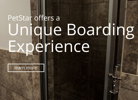 Unique Boarding Experience