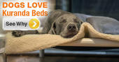 kuranda beds.jpg