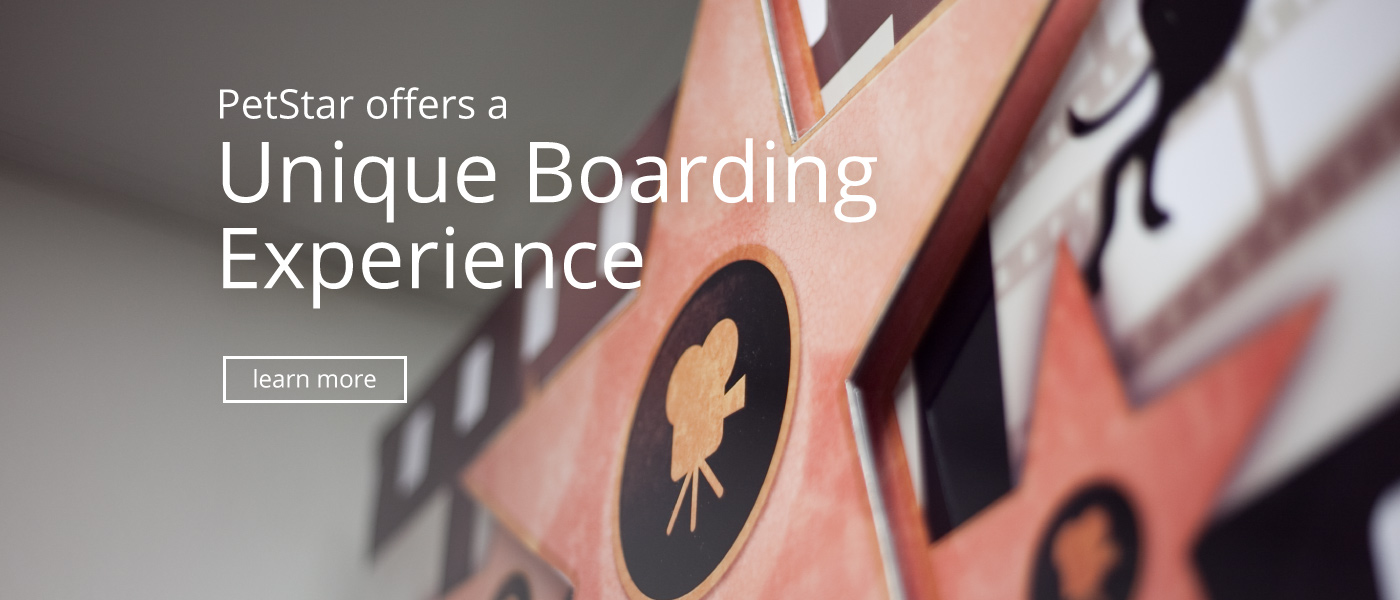 Unique Boarding Experience