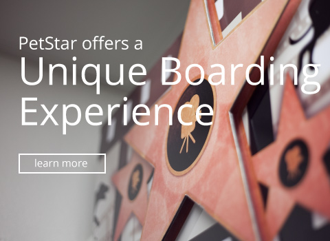 Unique Boarding Experience